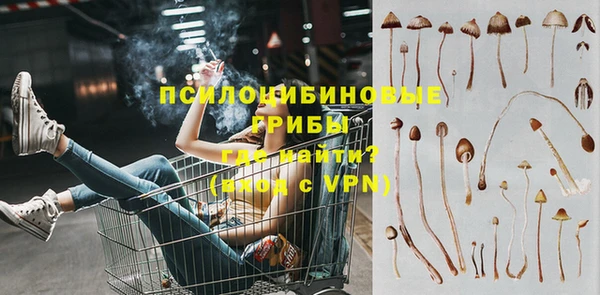 стафф Балабаново