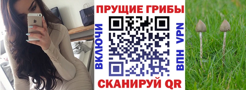 даркнет Telegram  Ухта  Псилоцибиновые грибы MAGIC MUSHROOMS  купить  цена 